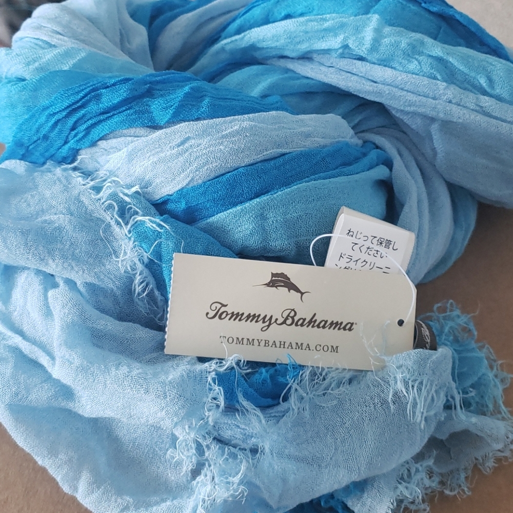 Ombre Scarf/Pashmina